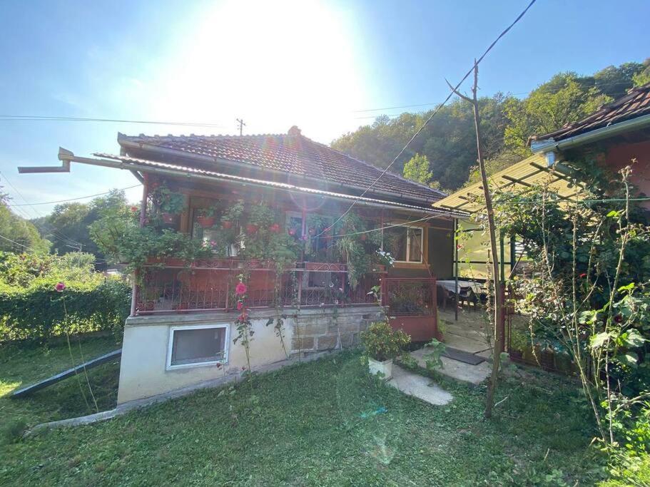 Casa- Viata La Tara Villa Bucuresci Exterior photo