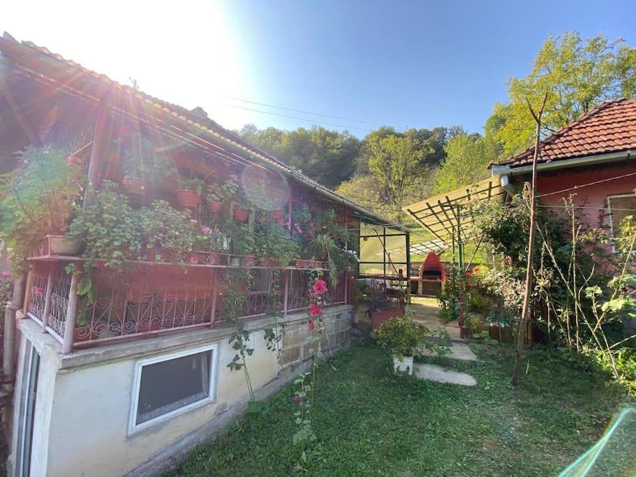 Casa- Viata La Tara Villa Bucuresci Exterior photo