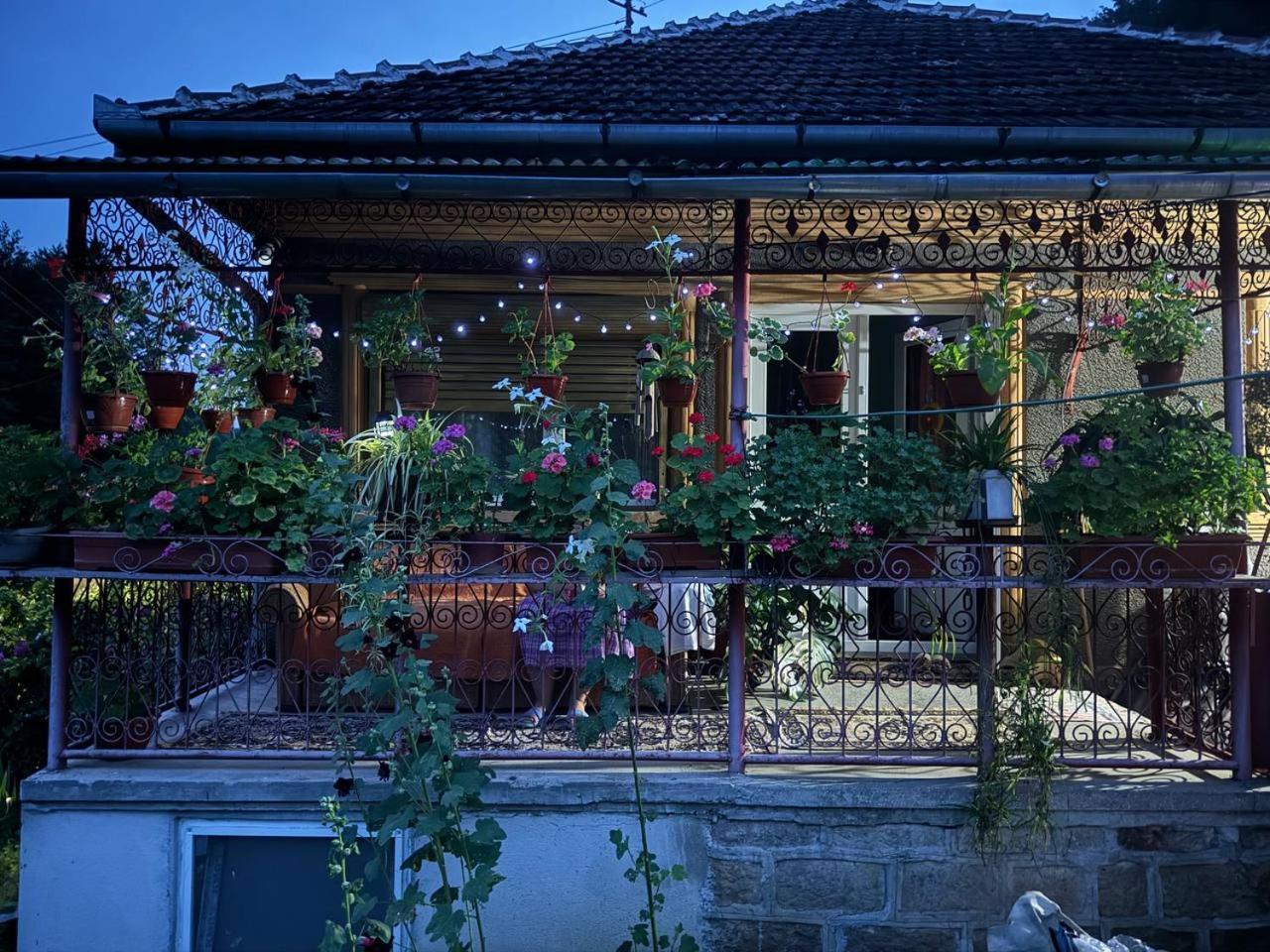 Casa- Viata La Tara Villa Bucuresci Exterior photo