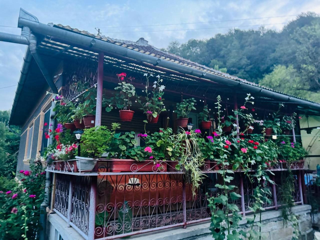 Casa- Viata La Tara Villa Bucuresci Exterior photo
